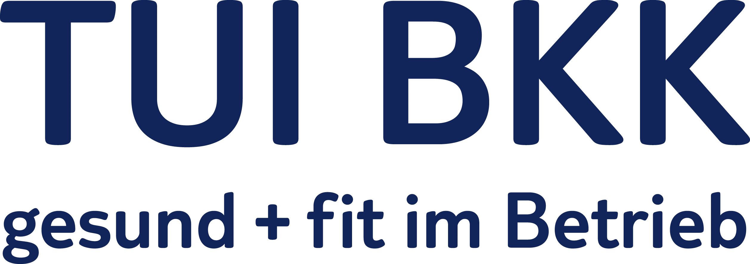 TUI BKK Logo bunt